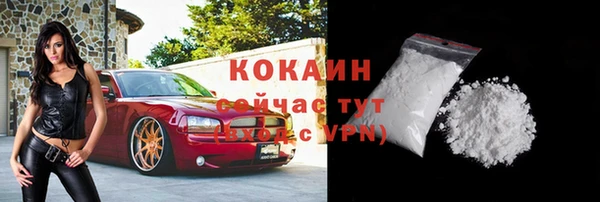 сатива Бронницы