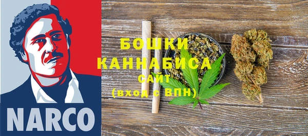 сатива Бронницы