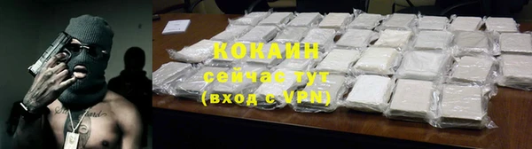 сатива Бронницы