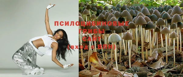 сатива Бронницы