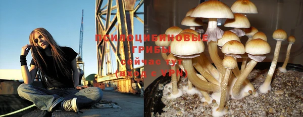 сатива Бронницы
