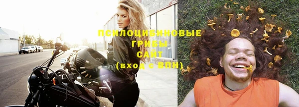 молекула духа Пролетарск