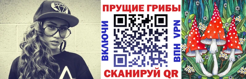 Псилоцибиновые грибы мицелий  купить  сайты  Яровое 